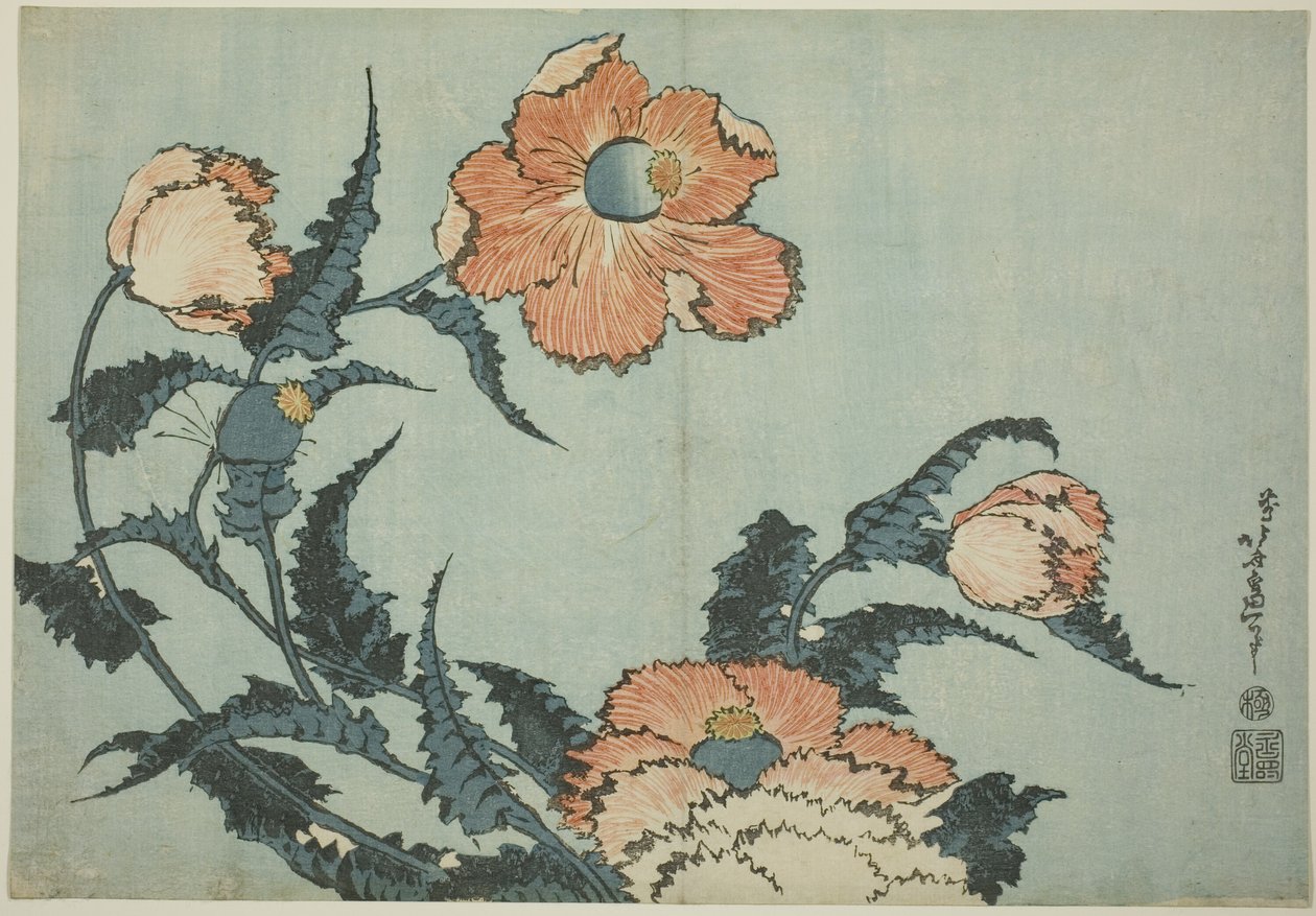 Amapolas, de una serie sin título de flores de Katsushika Hokusai
