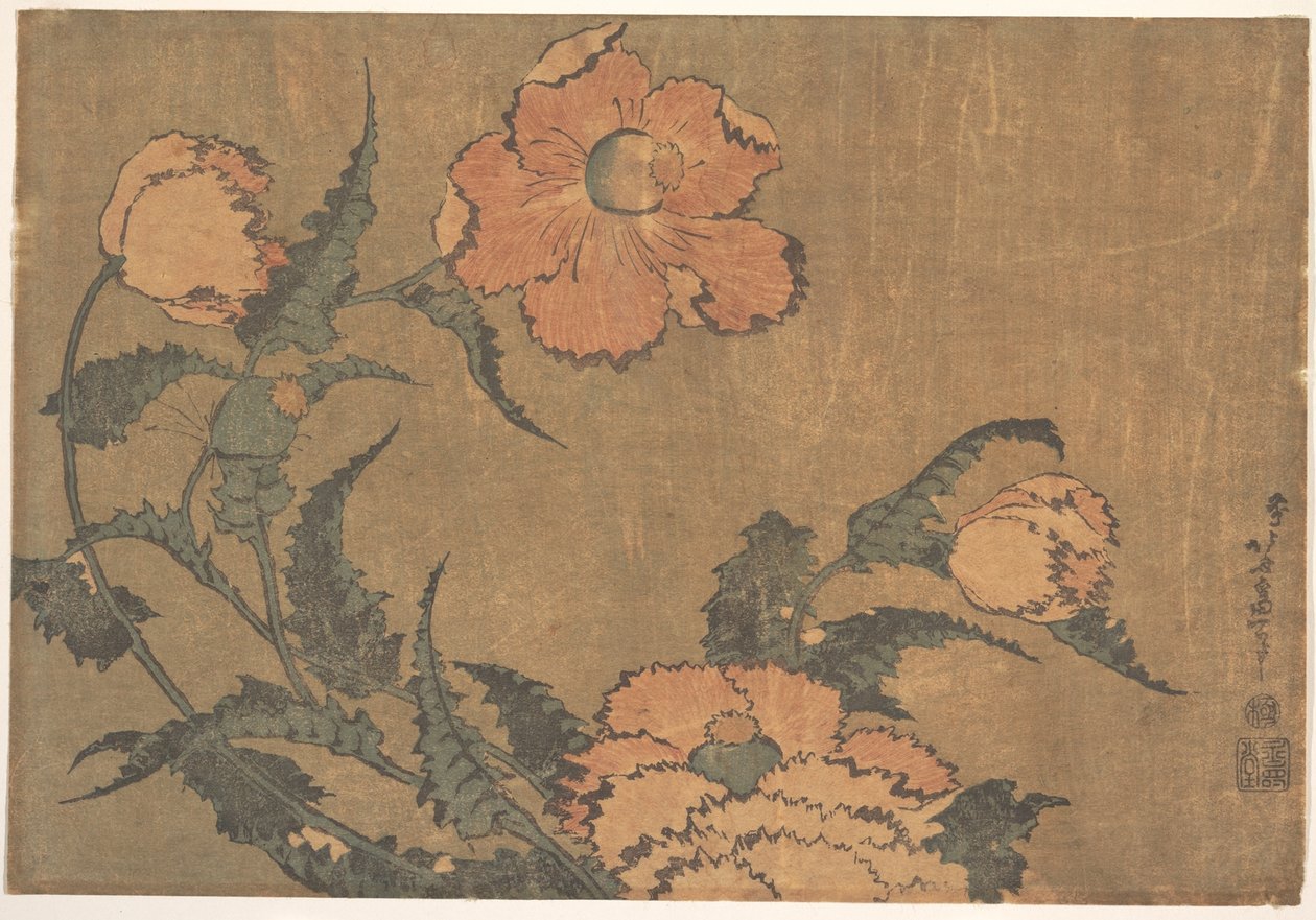 Amapolas al viento de Katsushika Hokusai