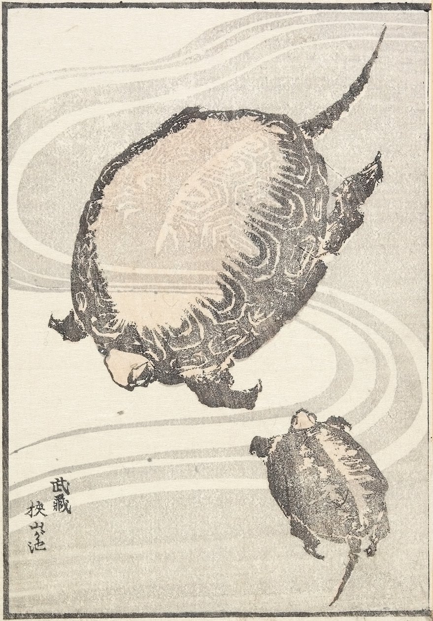 Estanque Sayama-ga-ike en la provincia de Musashi, 1817 de Katsushika Hokusai