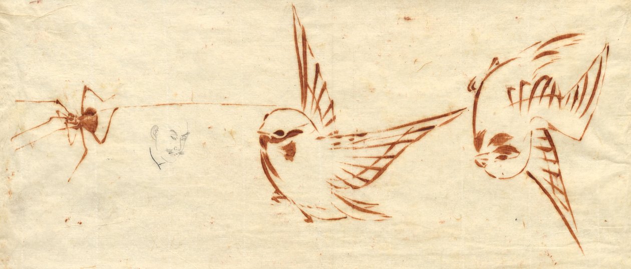Página de Bocetos con Pájaros y Araña de Katsushika Hokusai