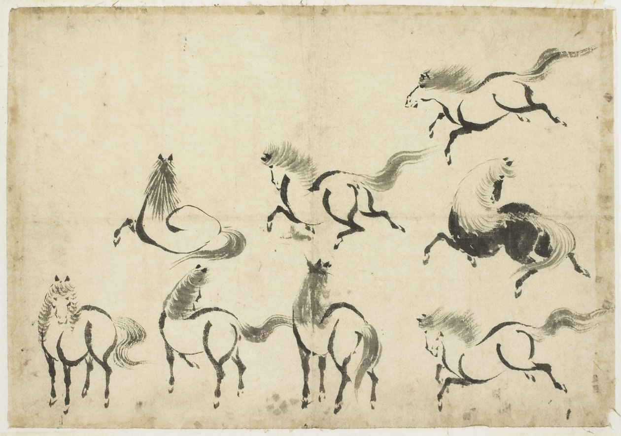 Estudios de caballos, c.1815-1849 de Katsushika Hokusai