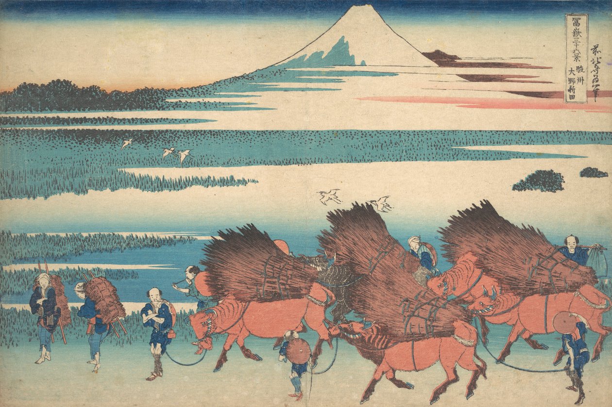 Los nuevos campos en Ono en la provincia de Suruga, de la serie Treinta y seis vistas del monte Fuji, ca. 1830-32 de Katsushika Hokusai