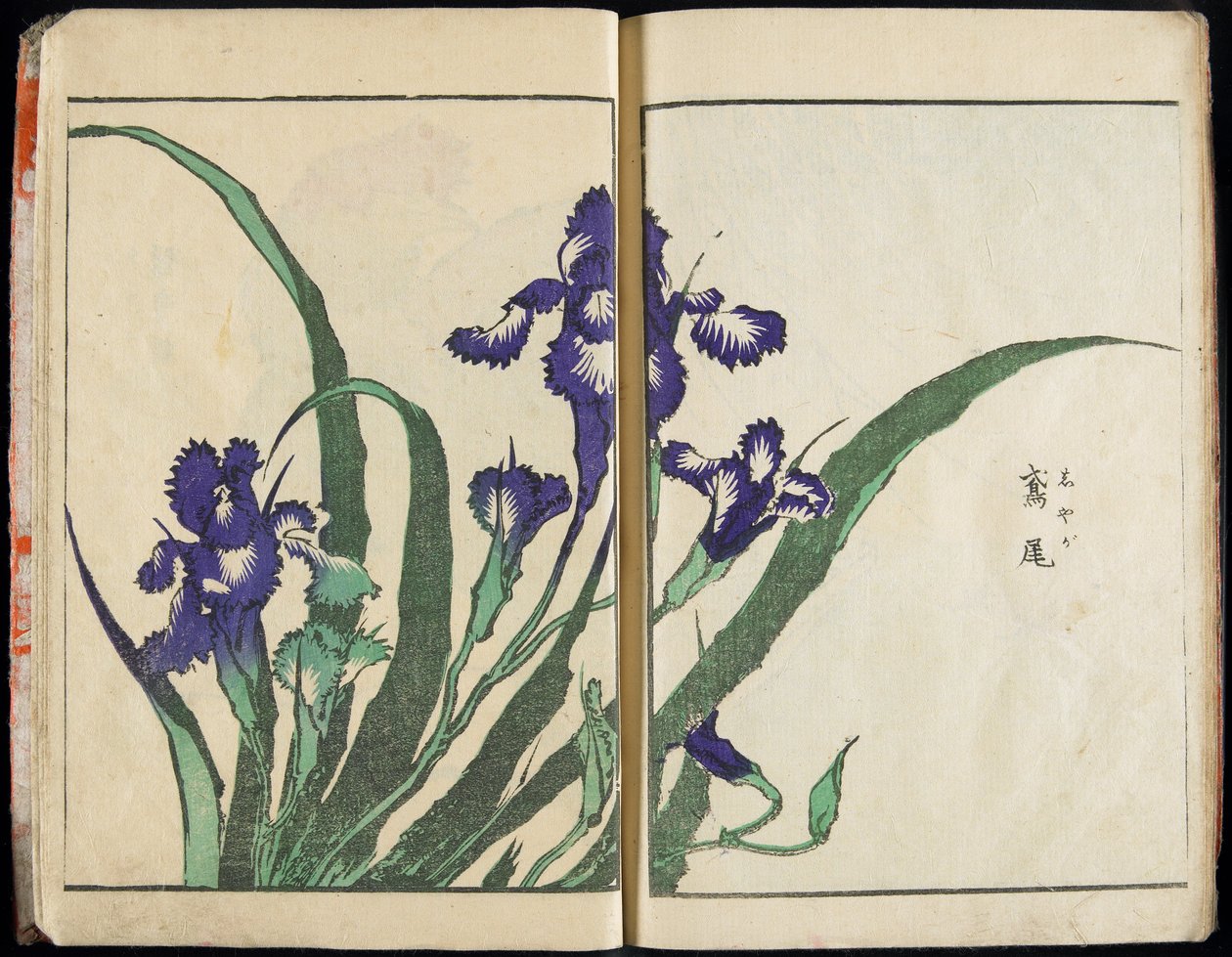 Transmitir el espíritu y revelar la forma de las cosas: El jardín de imágenes de Hokusai, vol. 1 completo de Katsushika Hokusai