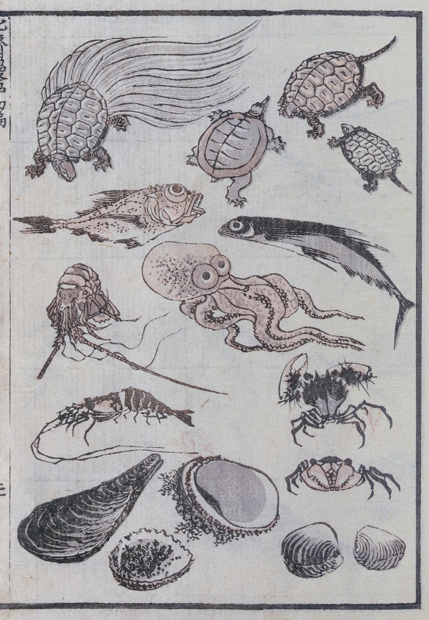 Criaturas submarinas, de un Manga de Katsushika Hokusai