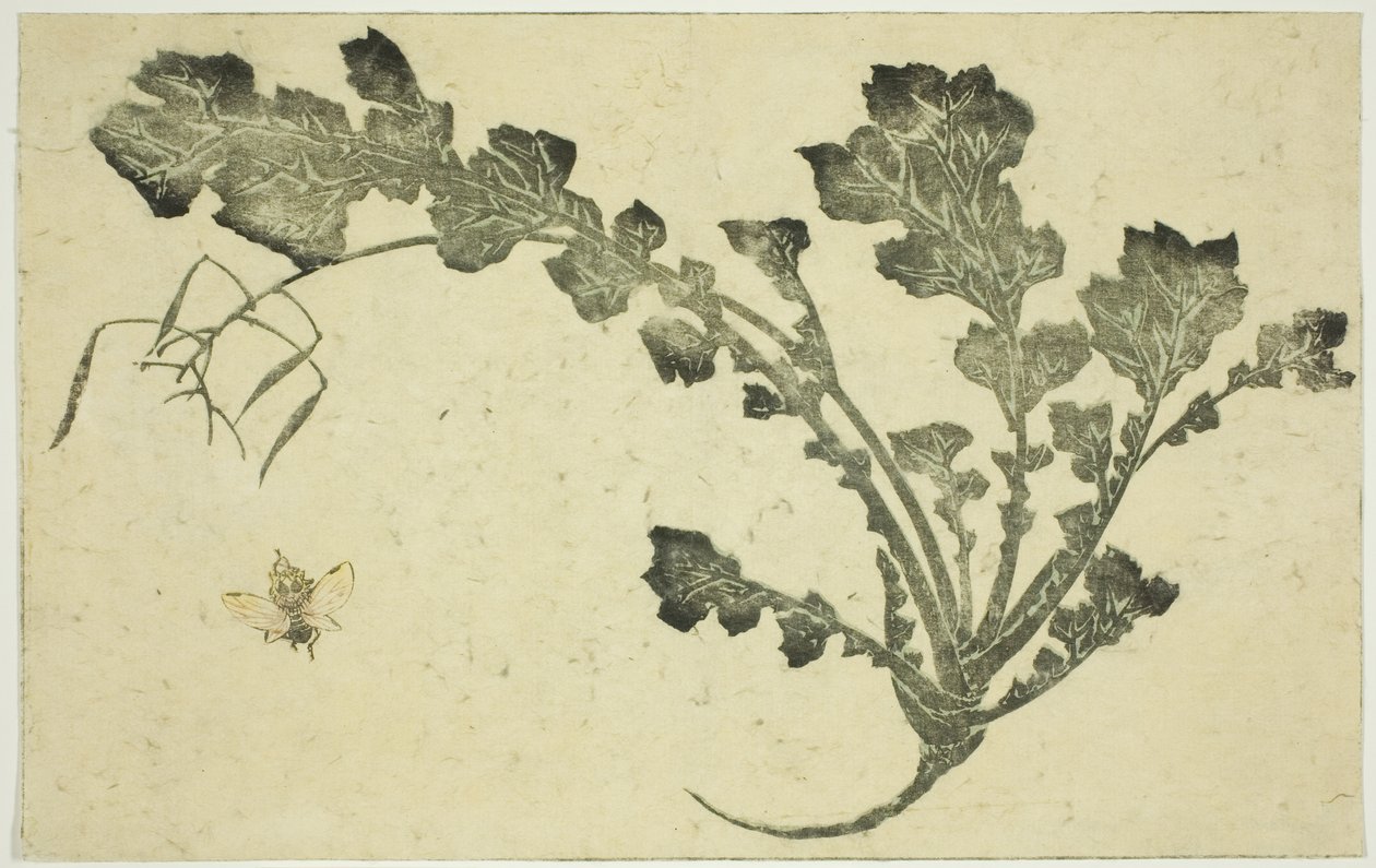 Avispa y tallo de nabo, de "El libro de pinturas realistas de Hokusai (Hokusai shashin gafu)" de Katsushika Hokusai