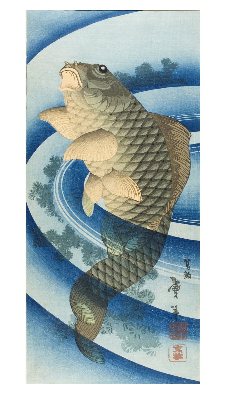 Carpa de Katsushika II (fl.1820-50) Taito