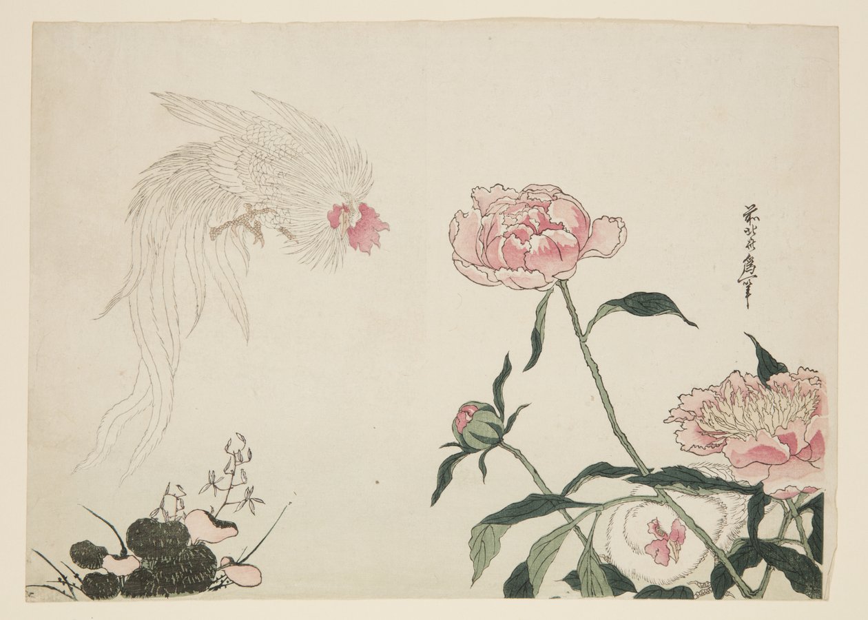 Gallos de cola larga entre flores de Katsushika II (fl.1820 50) Taito