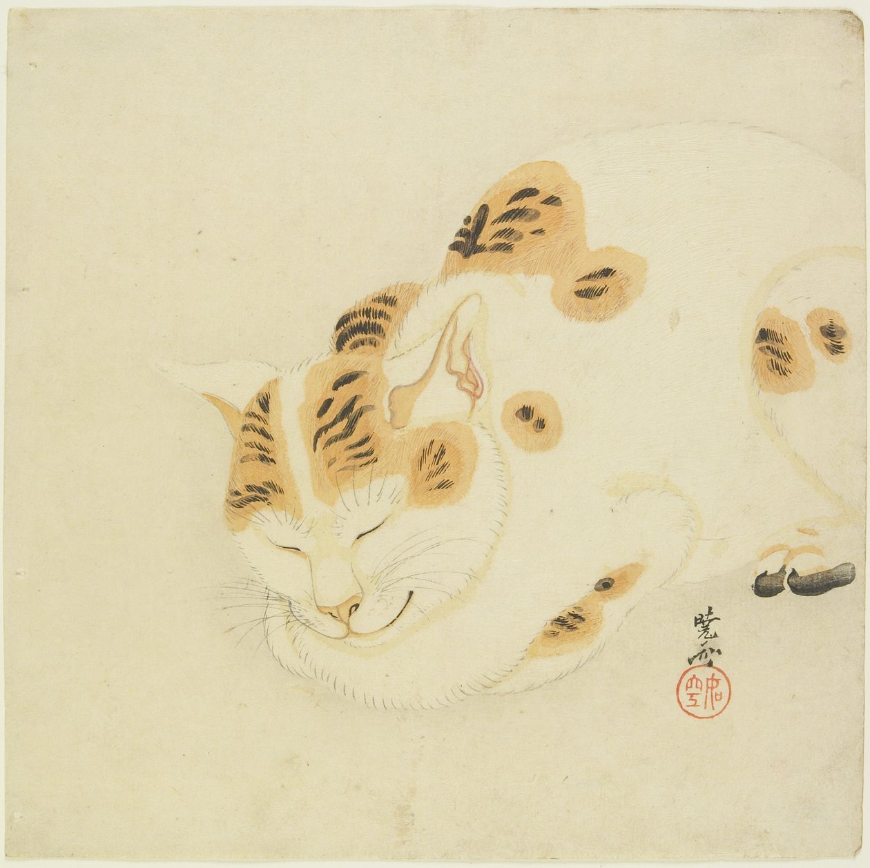 Gato durmiendo de Kawanabe Kyosai