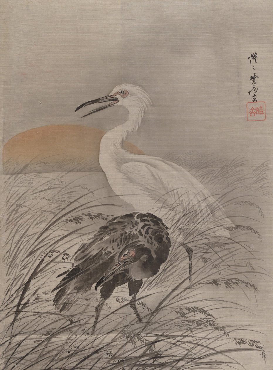 Grullas en el pantano, ca. 1887 de Kawanabe Kyosai