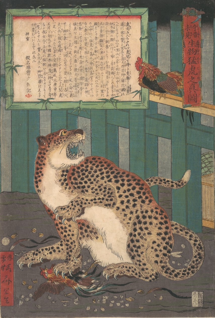 Nunca visto antes: Verdadera imagen de un tigre salvaje vivo..., sexto mes de 1860 de Kawanabe Kyosai