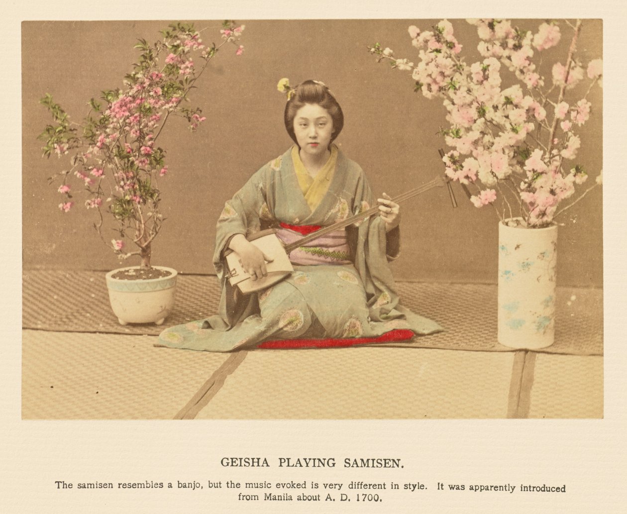 Geisha tocando el samisen de Kazumasa Ogawa