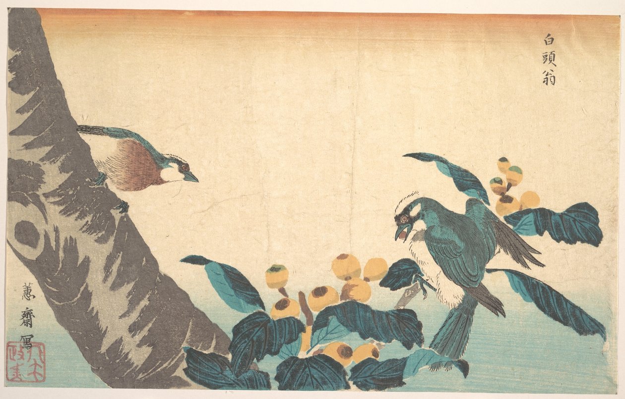 Pájaros y flores de Keisai Eisen