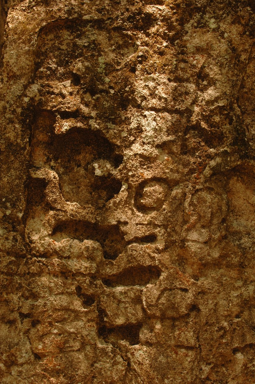 7319 Oxpemul; Maya; Culturas antiguas; Maya; México; Reserva de la Biosfera Maya; Ivan Spr..., 2004 (foto) de Kenneth Garrett