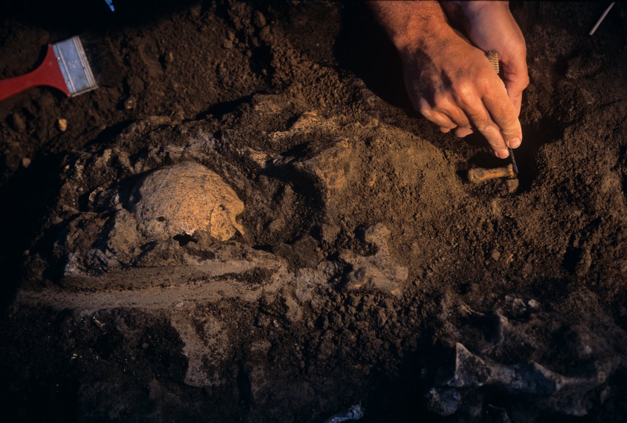 Dmanisi, Georgia, David Lordkipanidze, Homo Erectus de Kenneth Garrett