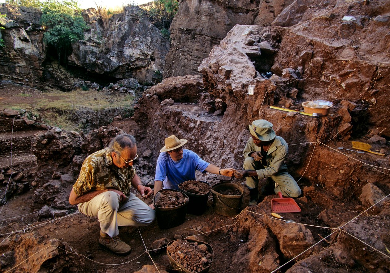 Yacimiento de Drimolean, cerca de Johannesburgo (Sudáfrica), homínido de 2 millones de años de antigüedad de Kenneth Garrett