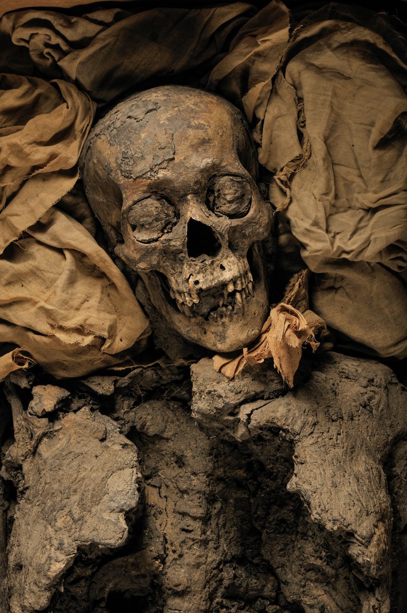 Momia de Amenhotep III, abuelo del rey Tut, KV 35, Tutankamón; dinastía XVIII; Nueva..., 2005 (foto) de Kenneth Garrett