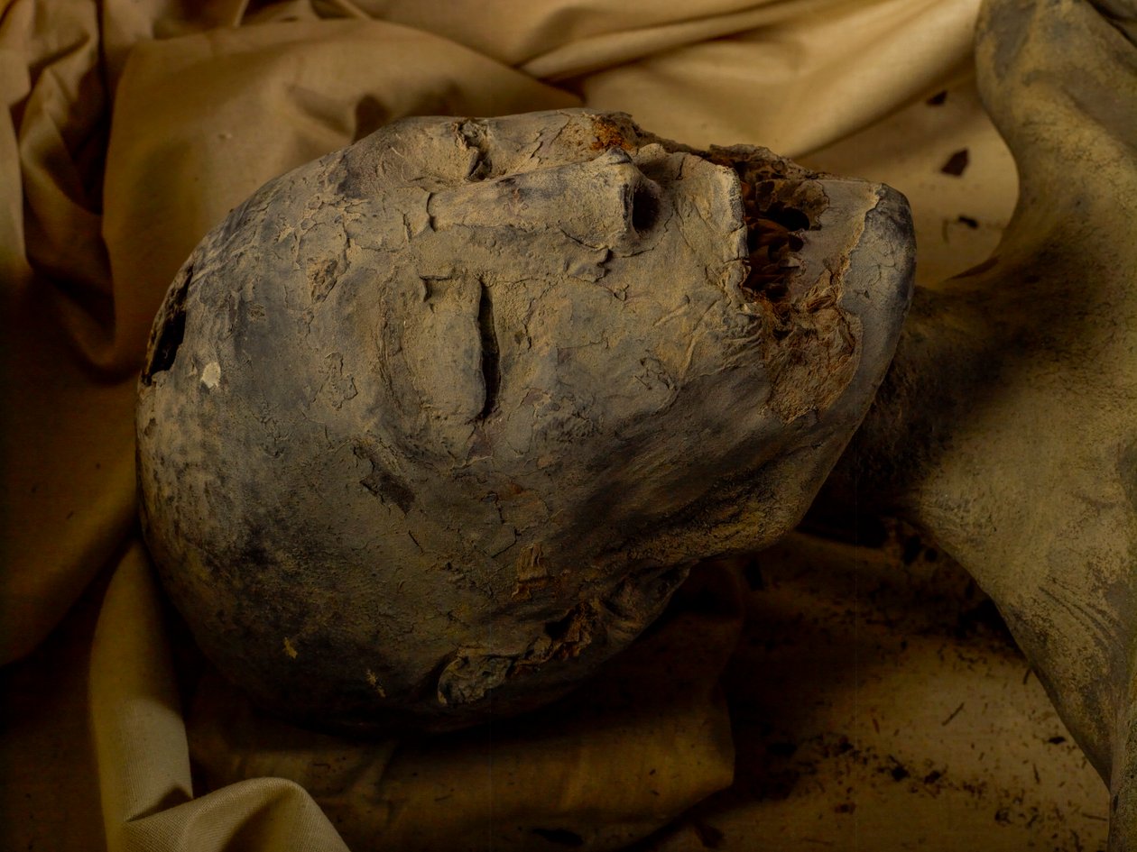 Momia de la madre del Rey Tut (conocida como la Dama Joven) de Kenneth Garrett