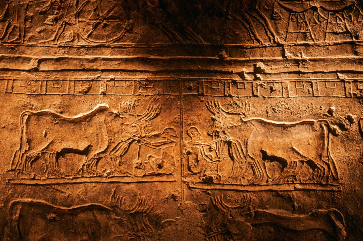 Relieve de la tumba de Meryre (Merera), Sumo Sacerdote de Atón en Akhetaten" y "Fanbe..., 2001 (foto) de Kenneth Garrett