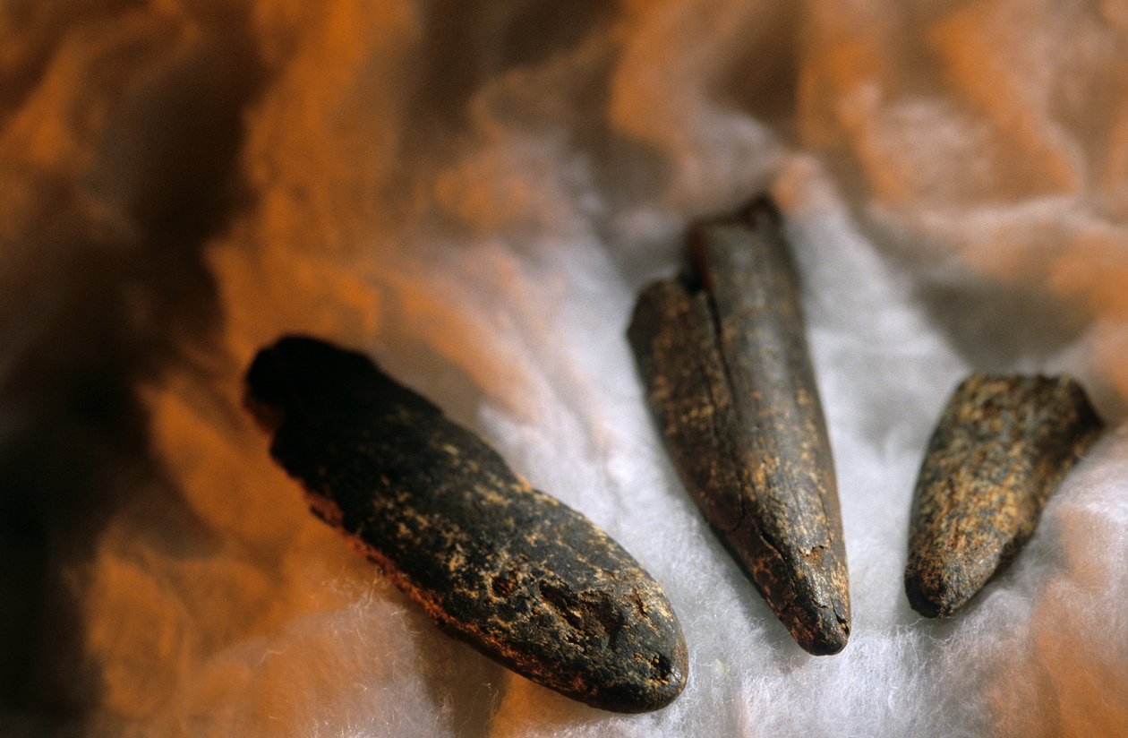 Puntas de hueso afiladas utilizadas para excavar,Del yacimiento de Drimolean, cerca de... de Kenneth Garrett