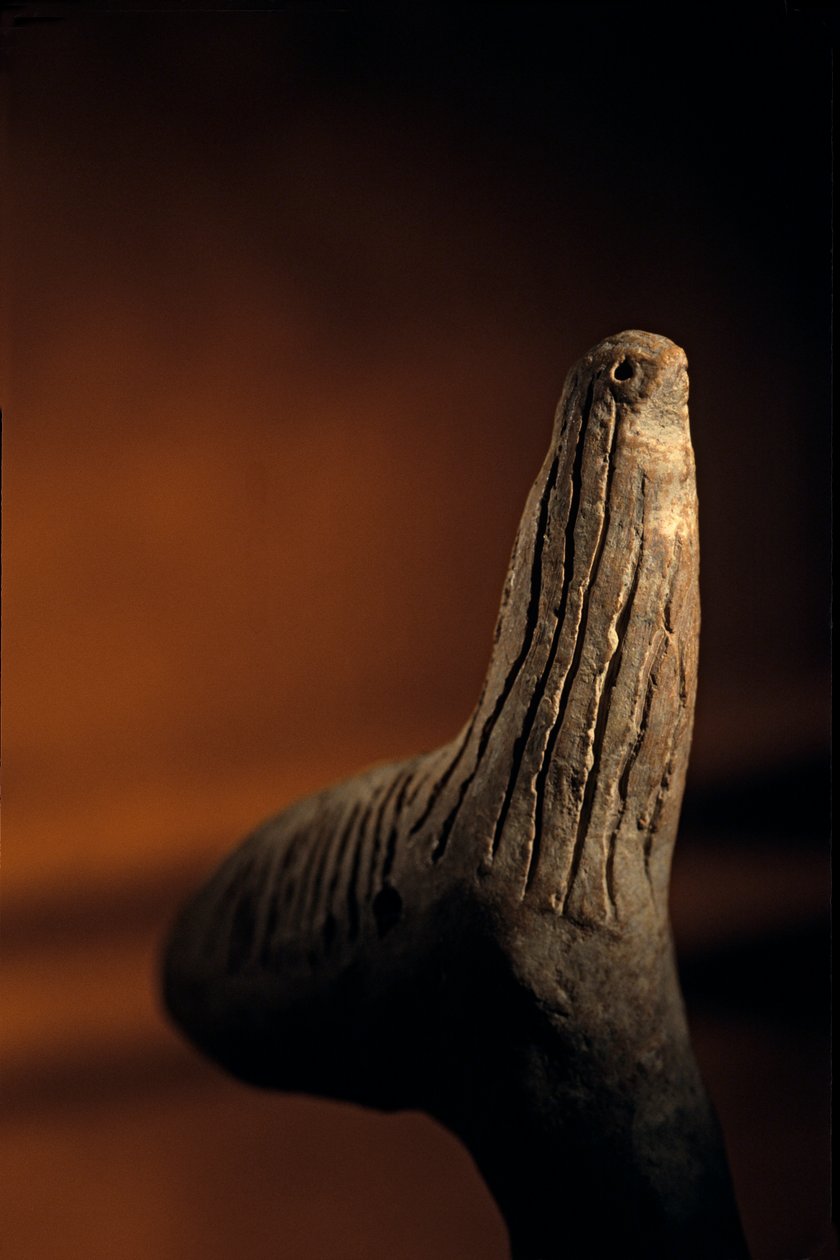 Urkesh; Hurrian; Empire; Syria; 2400 a.C.; Giorgio Buccellati; Archaeology; EAME, artif..., 2004 (foto) de Kenneth Garrett
