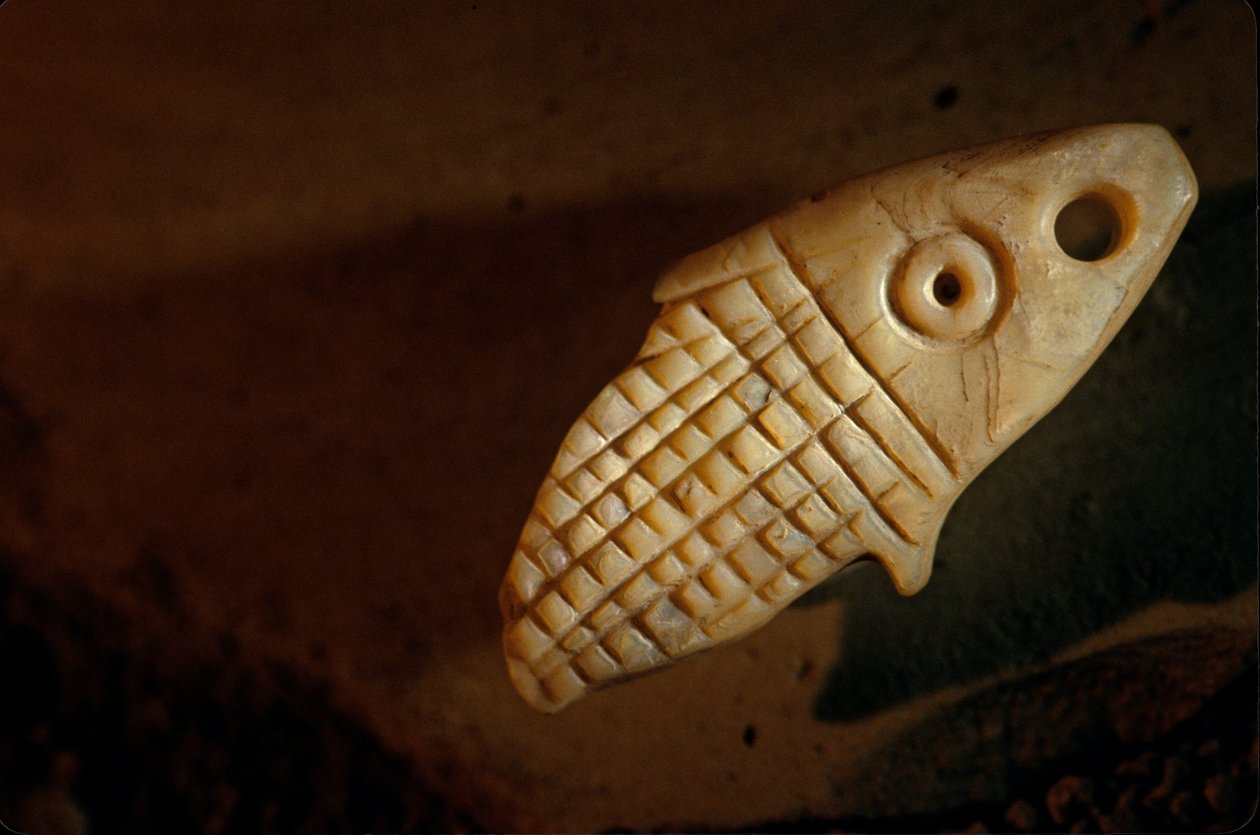 Urkesh, Imperio hurrita, Siria, 2400 a.C., Giorgio Buccellati, pez de nácar, 2004 (foto) de Kenneth Garrett