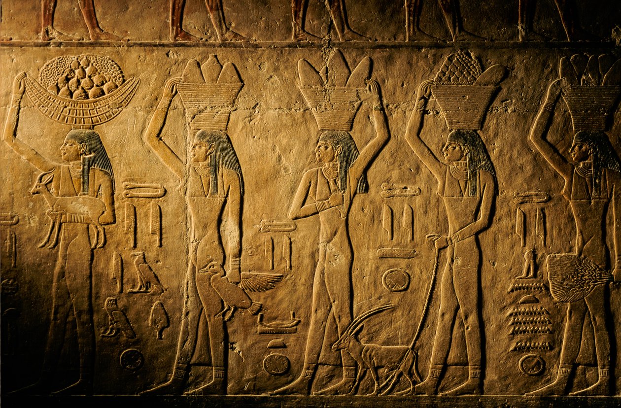 Mujeres transportando pan, aves, cabras y productos, tumba de Tiye, Egipto; Reino Antiguo; Saqqa... de Kenneth Garrett