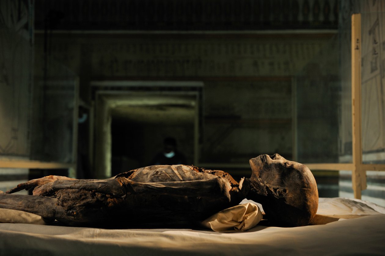 mm7864; Dinastía XVIII; Reino Nuevo; Egipto; ADN; Muestra; Momia, momia desconocida, 2005 (foto) de Kenneth Garrett
