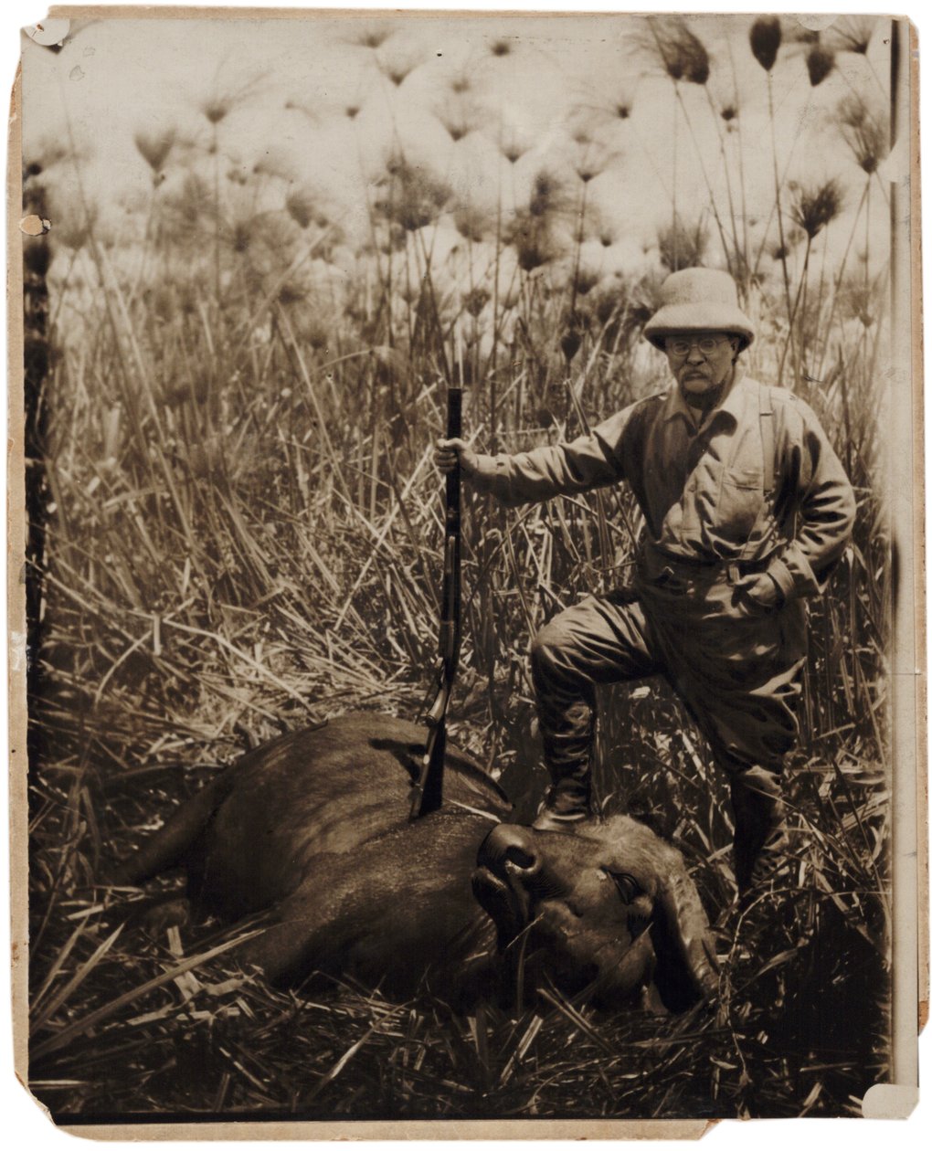 El Coronel Roosevelt junto a un búfalo de agua que ha cazado de Kermit Roosevelt