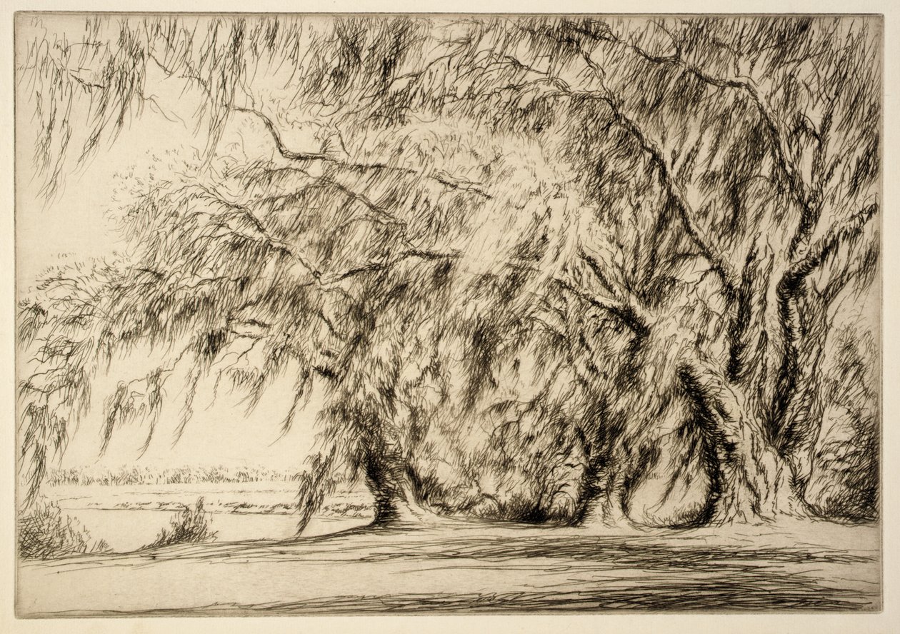 Robles y musgo de Kerr Eby