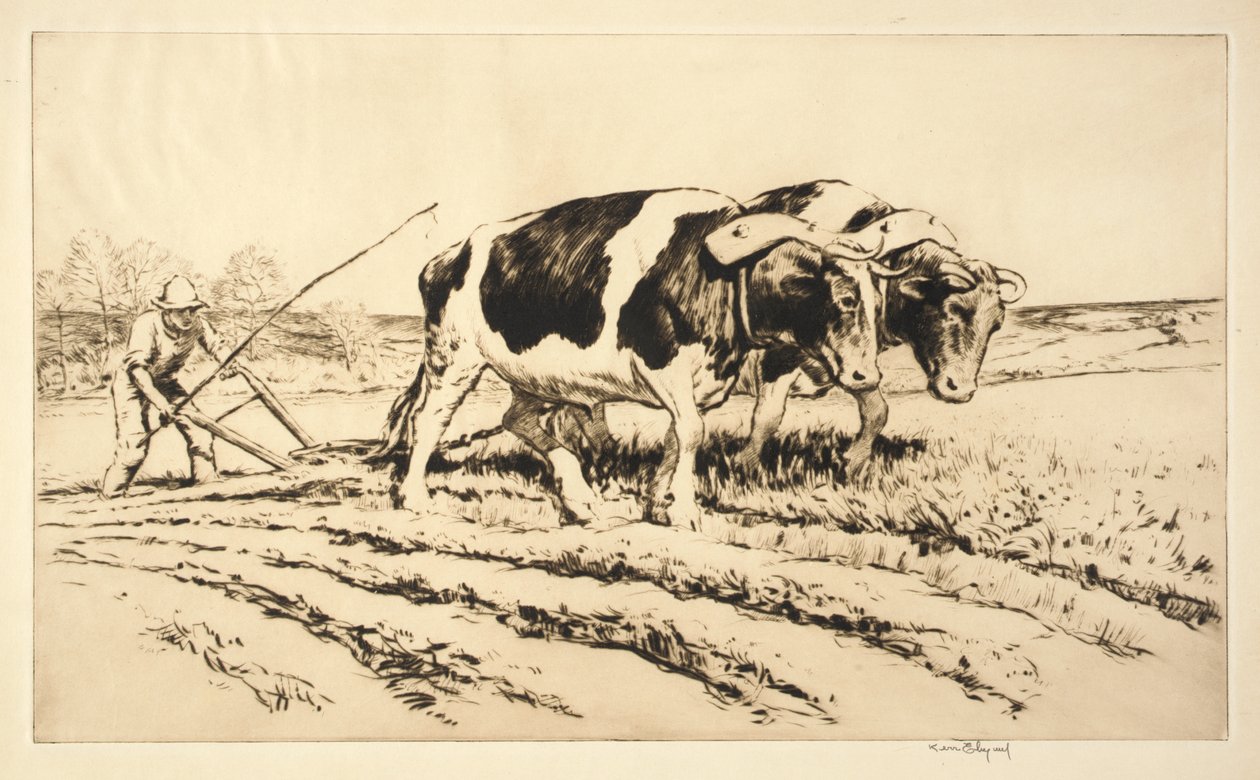 Arado de primavera de Kerr Eby