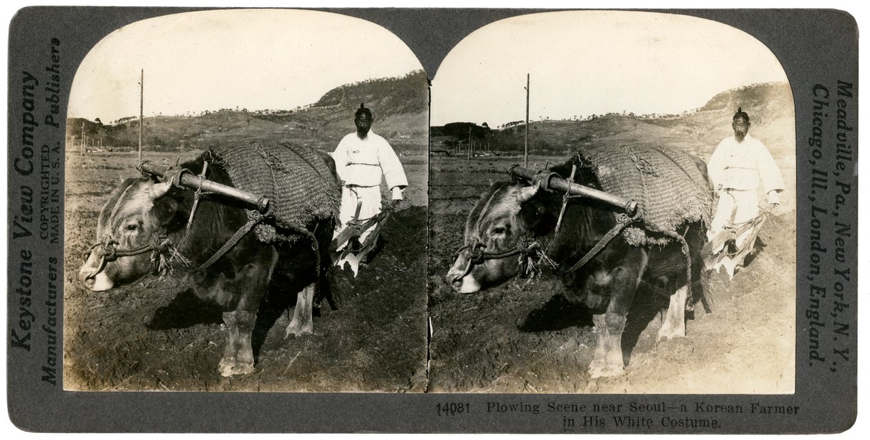 Agricultura cerca de Seúl, Corea del Sur, 1900s de Keystone View Company
