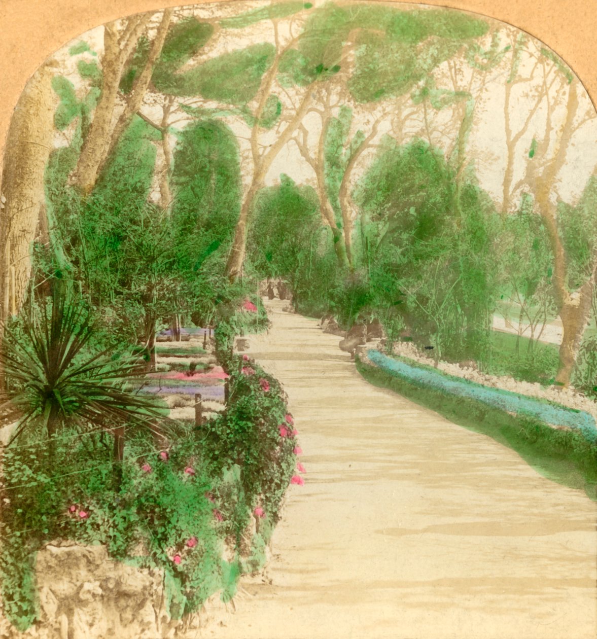 Paseo, Jardín Alameda, Roca de Gibraltar, 1896 de Keystone View Company