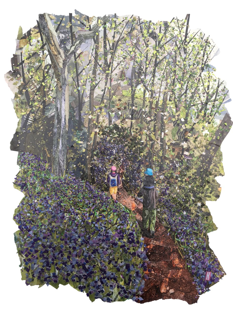 Banco de primavera de Kirstie Adamson