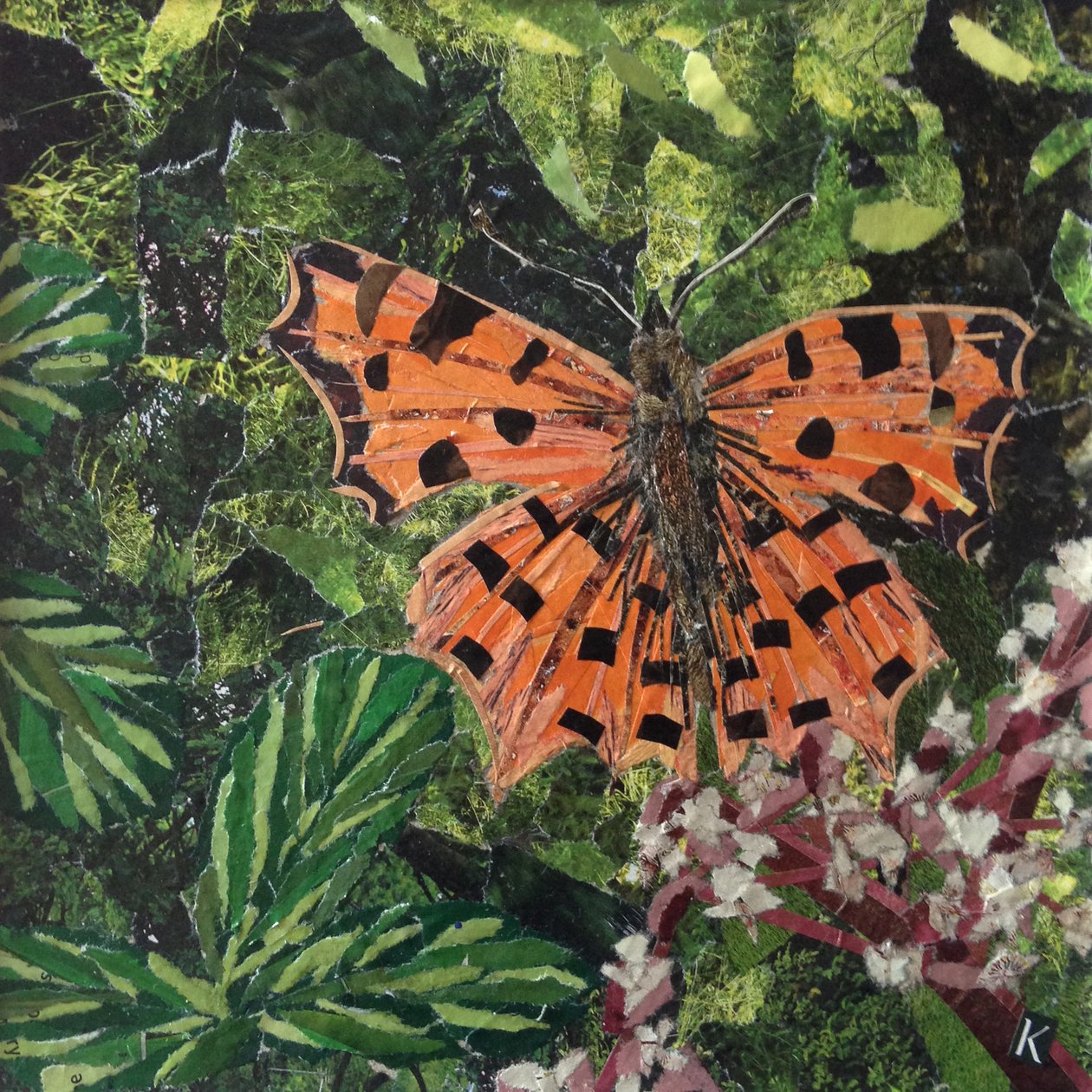Aleteo - Mariposa coma en japonica de Kirstie Adamson