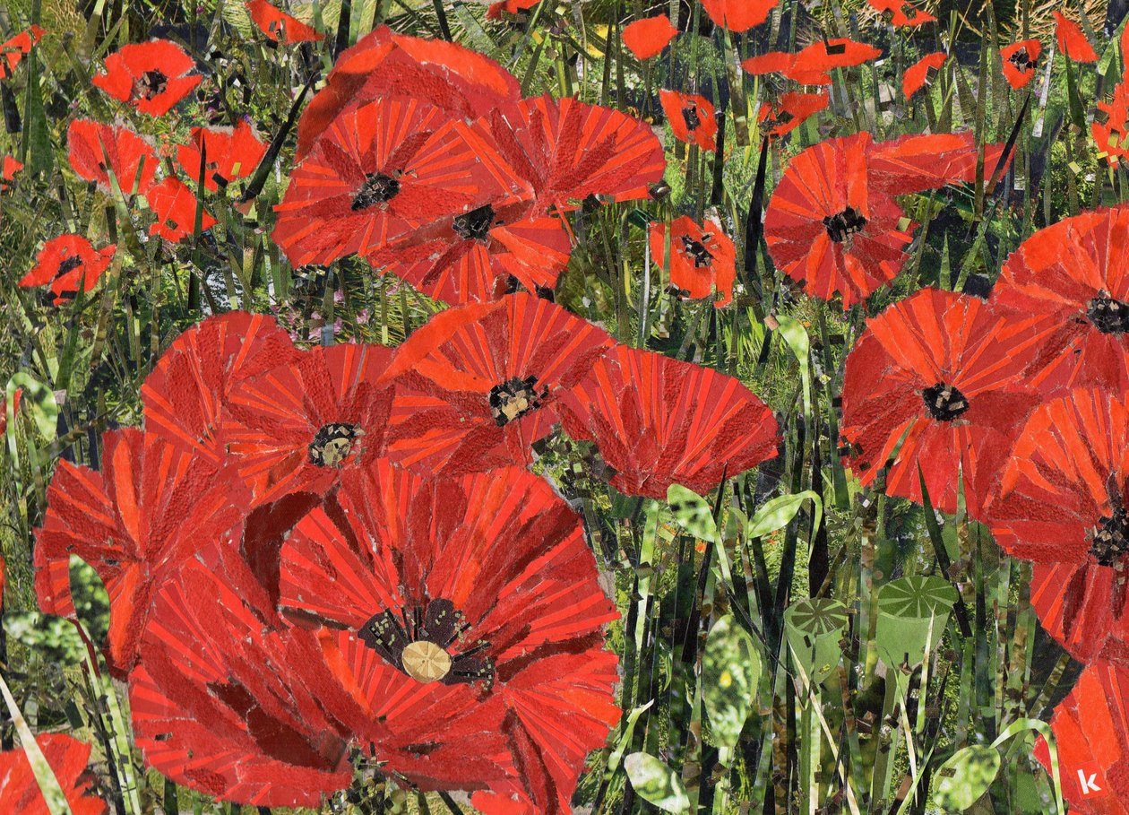 Campo de amapolas de Kirstie Adamson