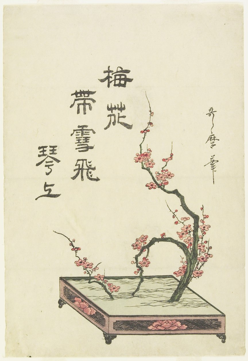 (Arreglo de flores de ciruelo) de Kitagawa Utamaro