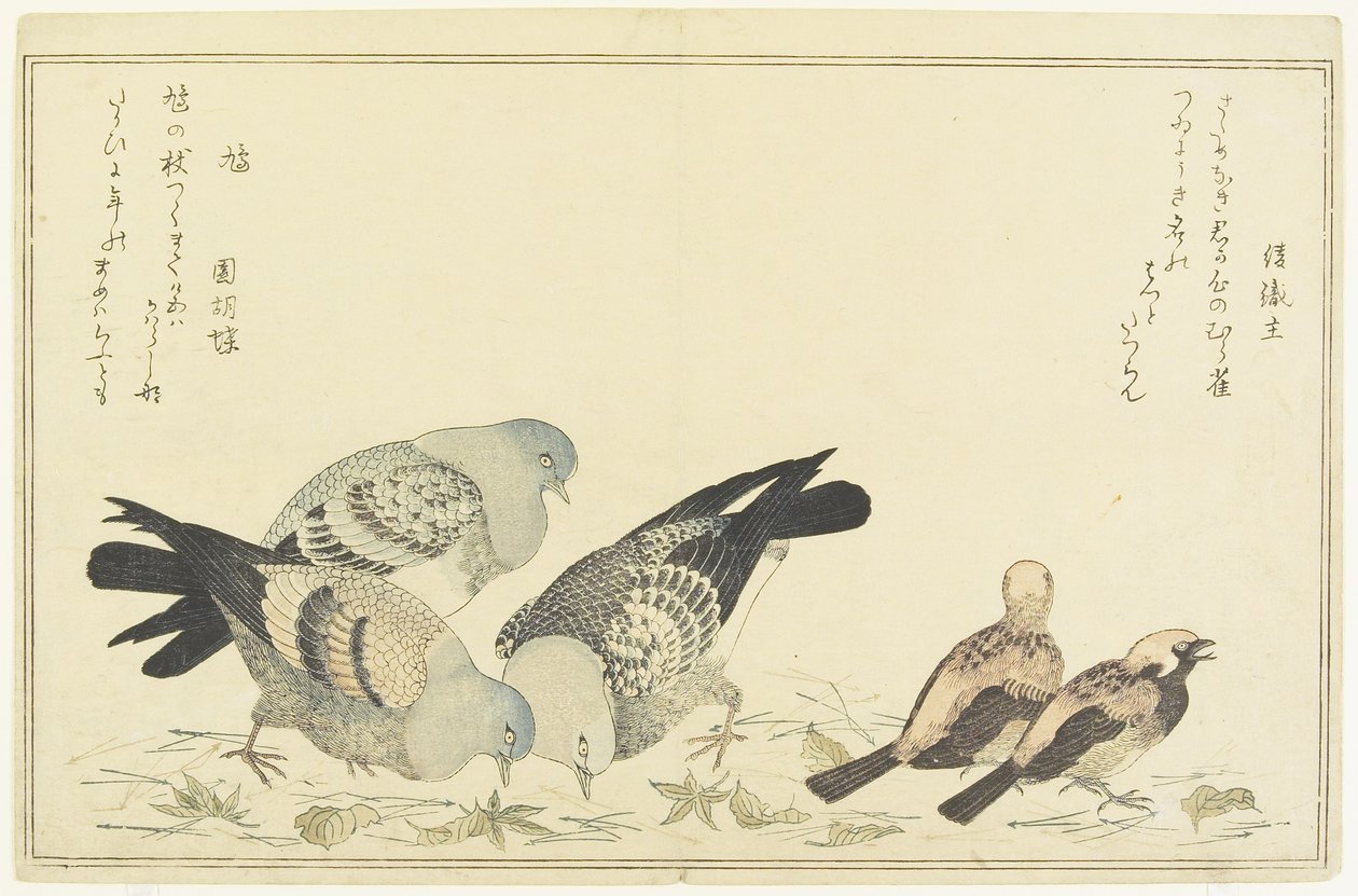 Gorrión Común y Paloma Bravía, c. 1790 de Kitagawa Utamaro