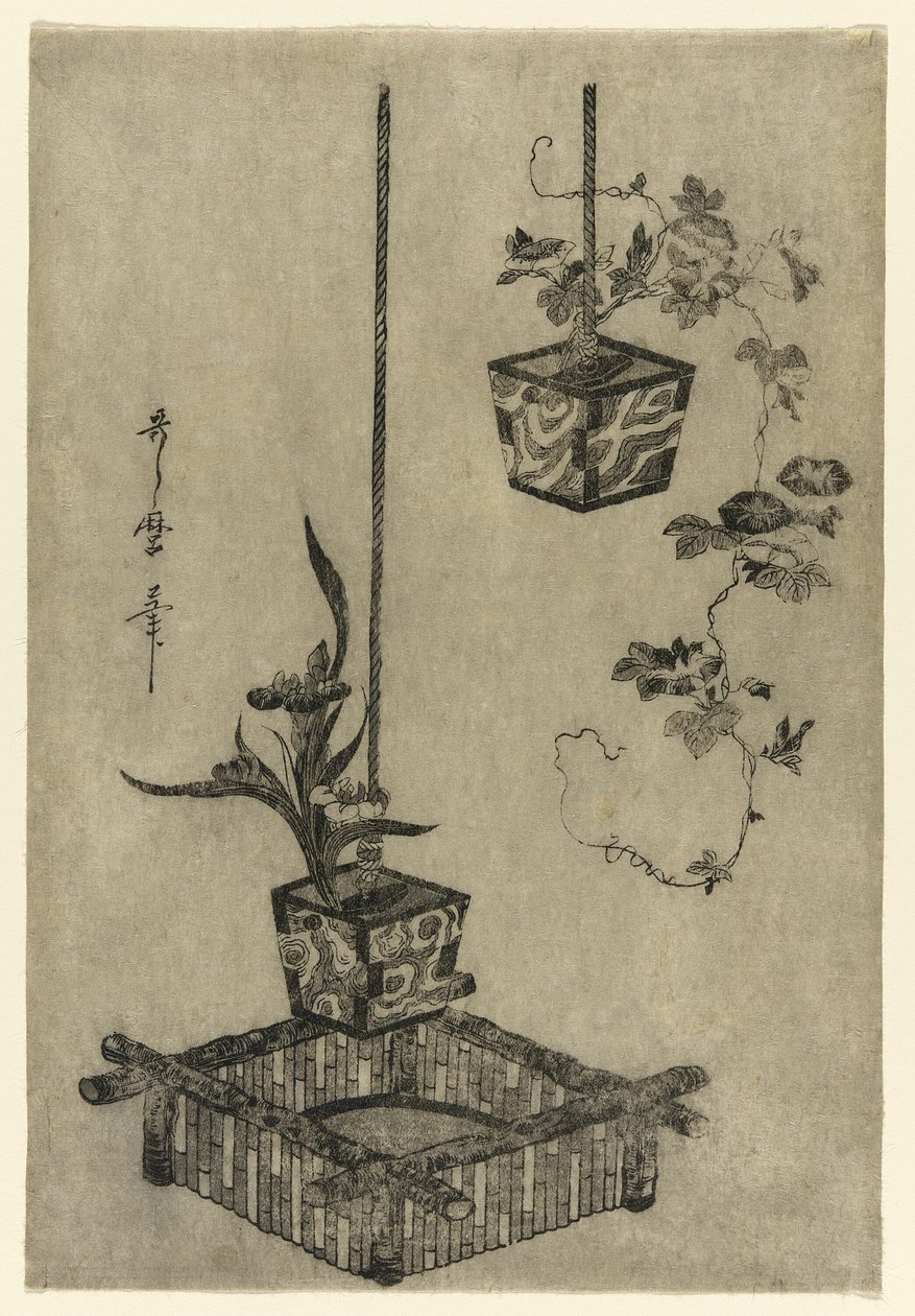 Arreglos de Iris y Glorias de la Mañana de Kitagawa Utamaro