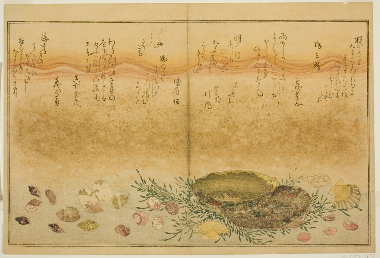 Chidori-gai, itaya-gai, awabi, utsuse-gai, asari-gai y monoara-gai, del libro ilustrado "Regalos de la marea baja (Shiohi no tsuto)" de Kitagawa Utamaro