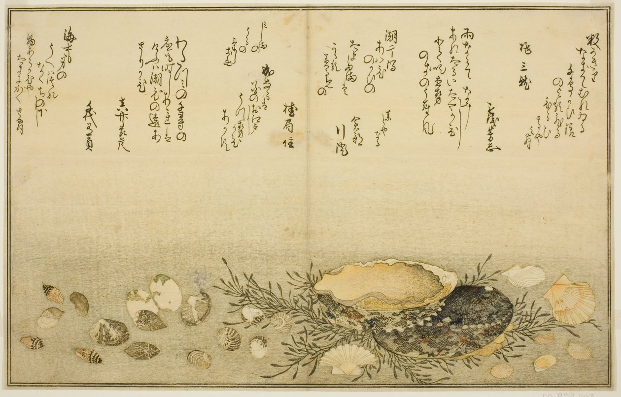 Chidori-gai, itaya-gai, awabi, utsuse-gai, asari-gai, y monoara-gai, del libro ilustrado "Regalos de la marea baja (Shiohi no tsuto)" de Kitagawa Utamaro