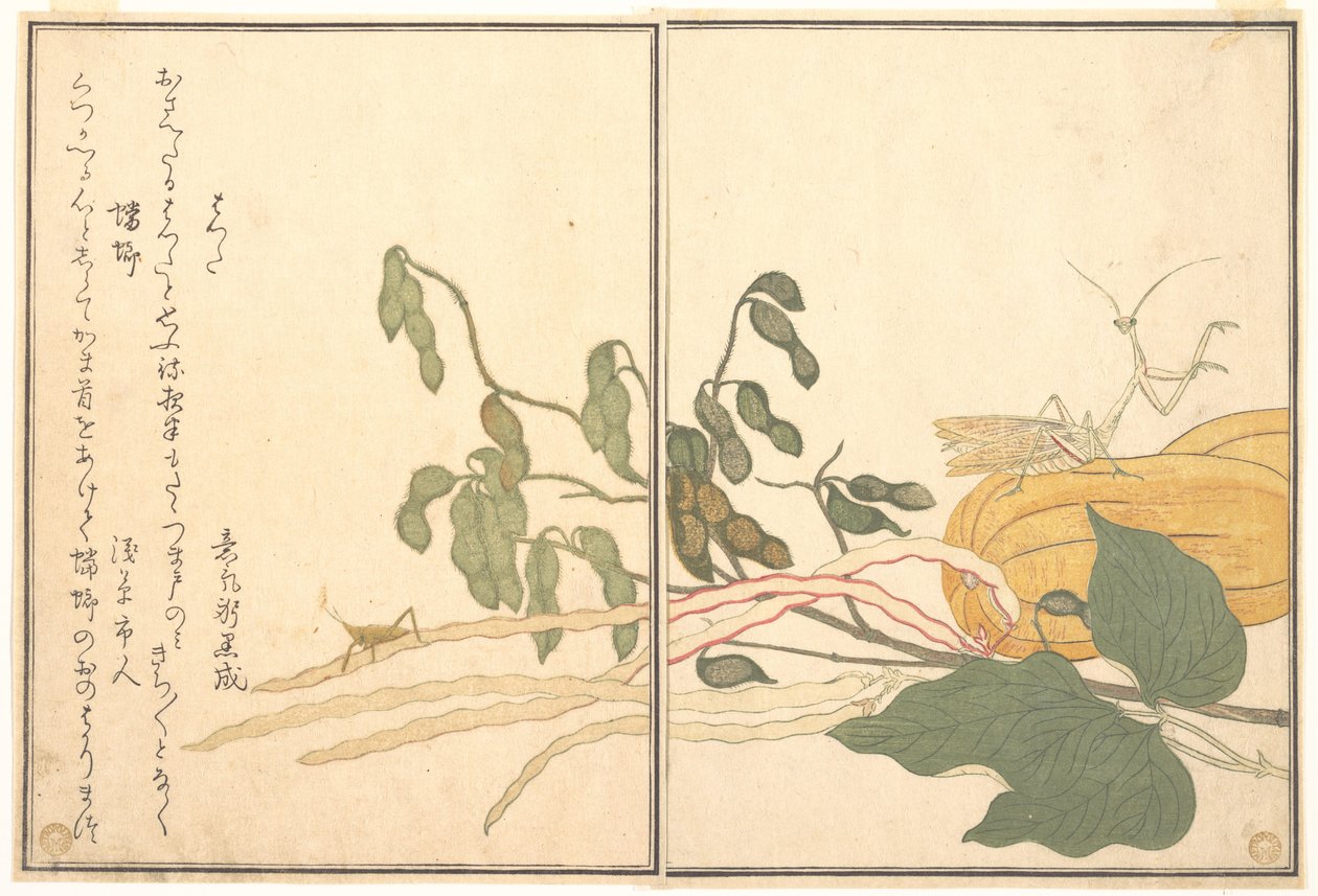 Saltamontes de cabeza cónica o langosta (batta); mantis religiosa (Tōrō o Kamakiri), del Libro ilustrado de criaturas reptantes (Ehon mushi erami) de Kitagawa Utamaro