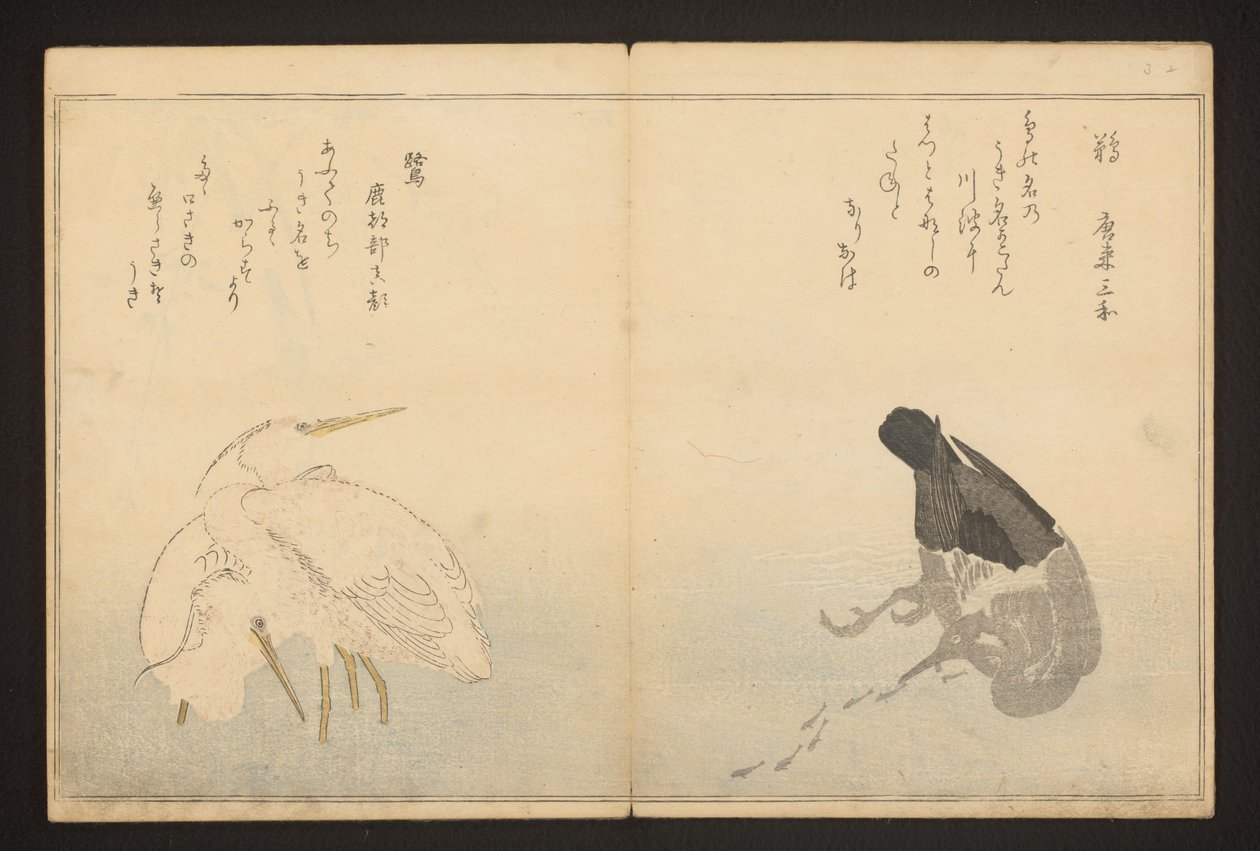 Cormorán y garza de Kitagawa Utamaro