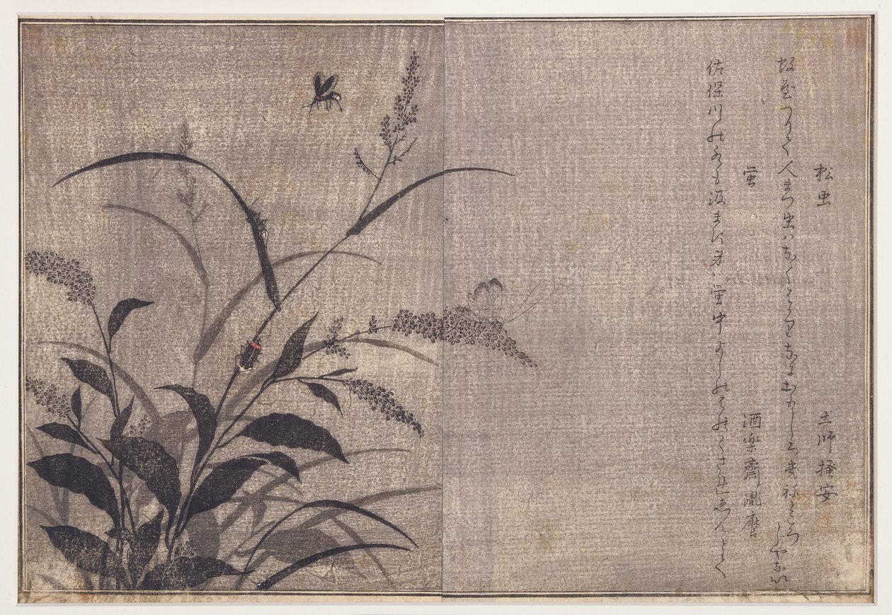 Grillo y luciérnagas, 1788 de Kitagawa Utamaro