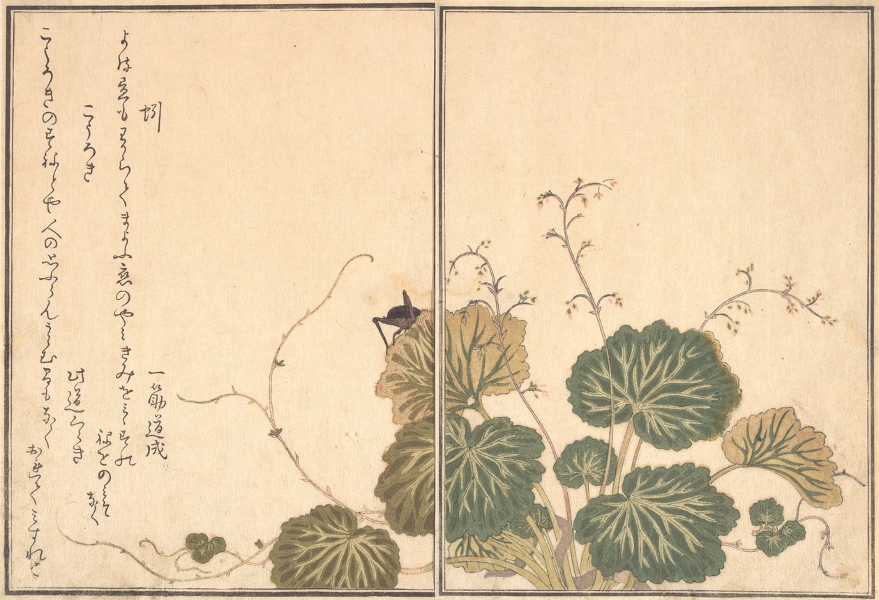 Lombriz de tierra Mimizu, Grillo Korogi de Kitagawa Utamaro