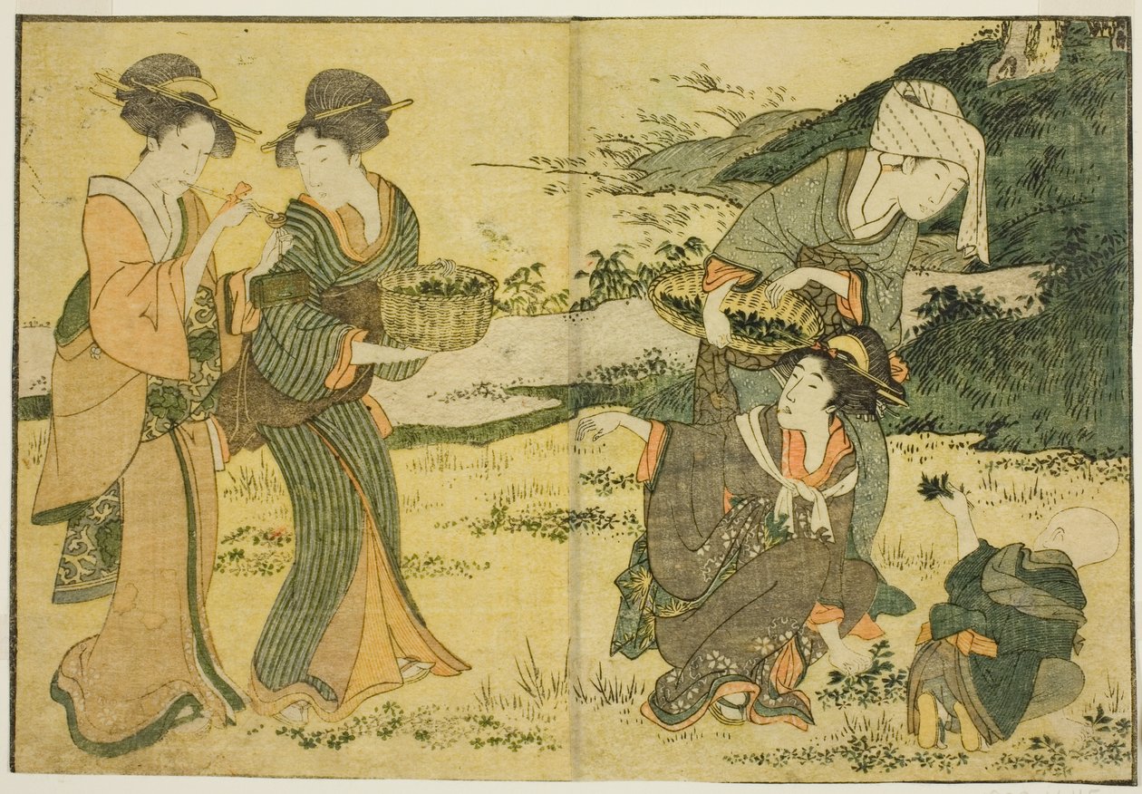Recolección de hierbas de primavera, del libro ilustrado "Libro de imágenes: Flores de las cuatro estaciones (Ehon shiki no hana)," vol. 1 de Kitagawa Utamaro