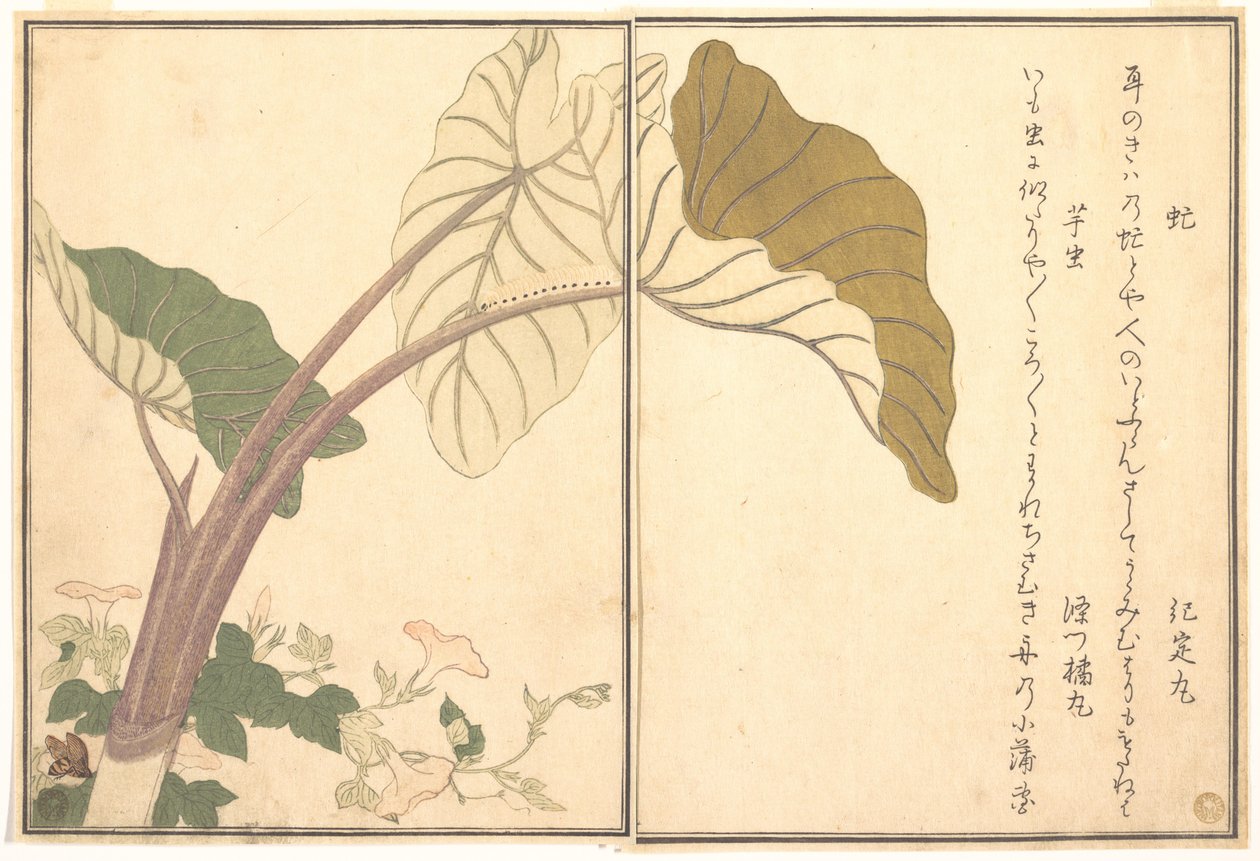 Tábano (abu); oruga verde, imomushi, del Libro ilustrado de criaturas rastreras (Ehon mushi erami) de Kitagawa Utamaro