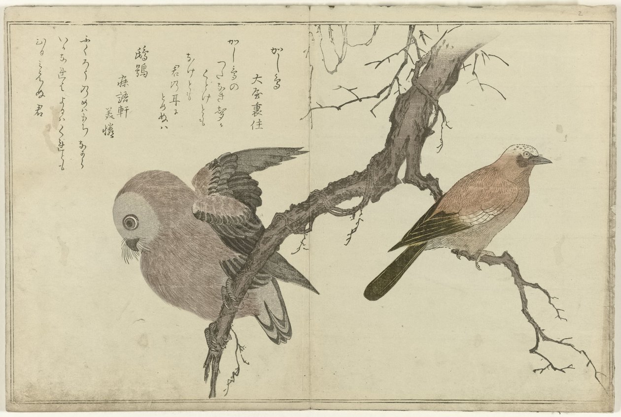 Arrendajo y búho de Kitagawa Utamaro