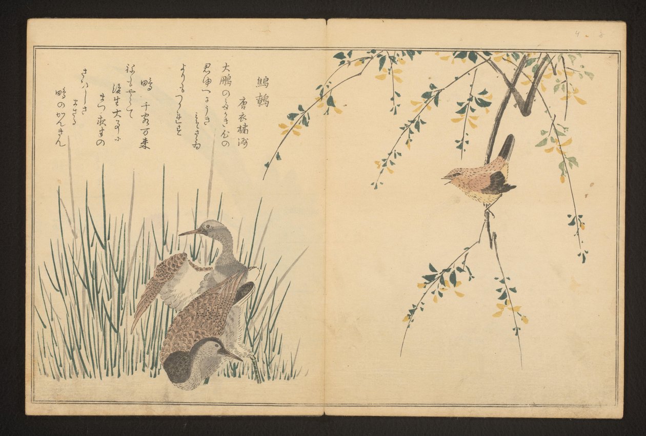 Ánade real y martín pescador de Kitagawa Utamaro