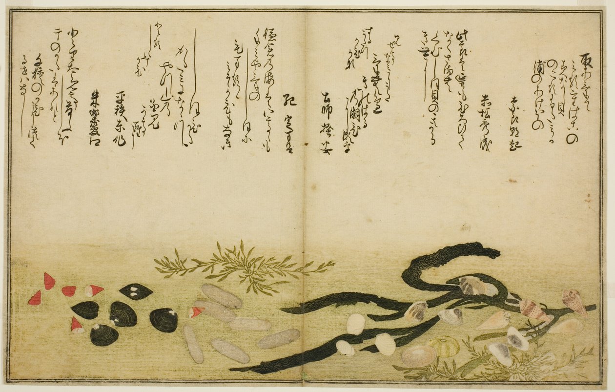 Minashi-gai, shio-gai, katatsu-gai, miso-gai, chijimi-gai y chigusa-gai, del libro ilustrado "Regalos de la marea baja (Shiohi no tsuto)" de Kitagawa Utamaro