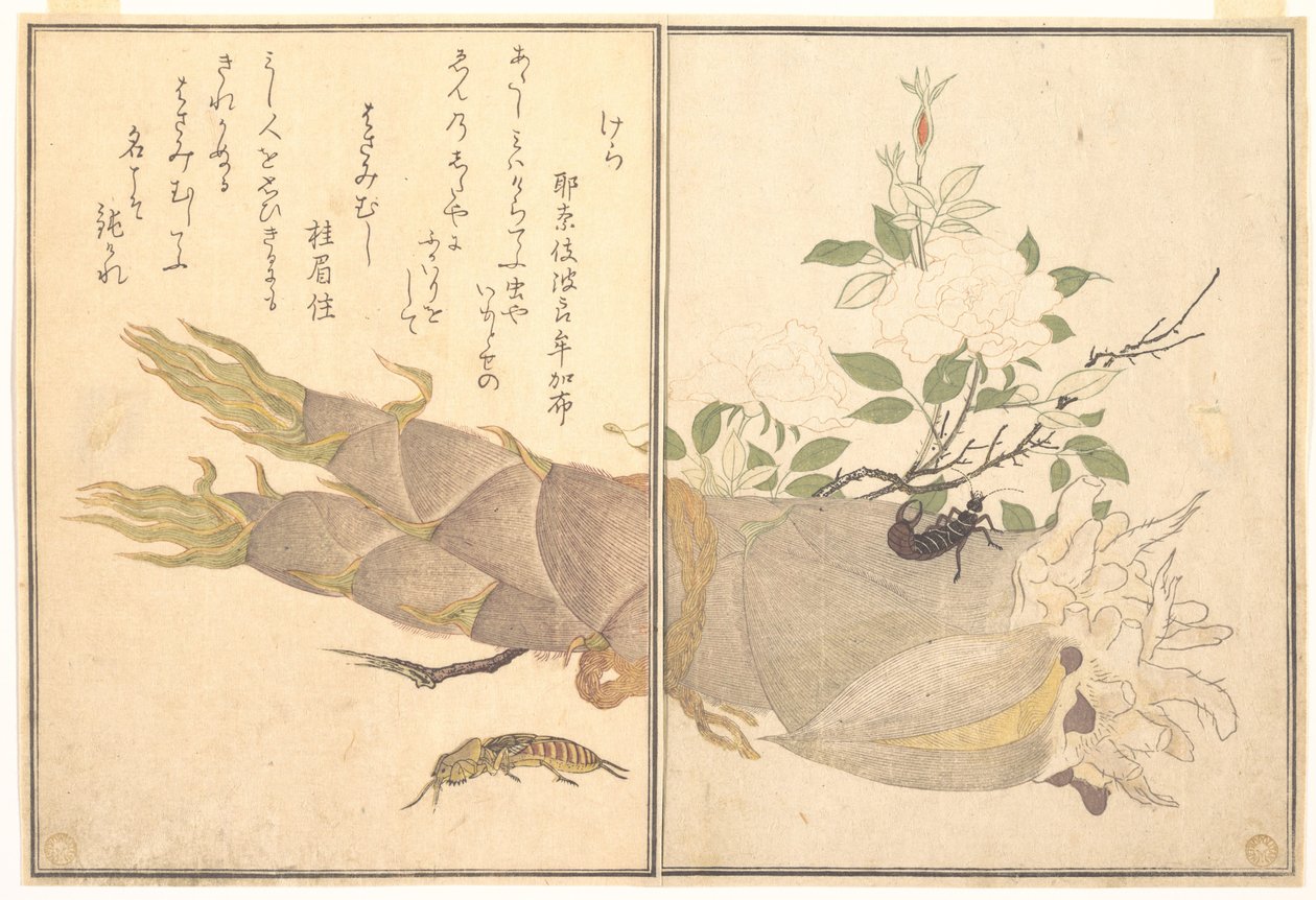 Grillo topo (Kera); tijereta (Hasami-mushi), del libro ilustrado «Criaturas que se arrastran» (Ehon mushi erami) de Kitagawa Utamaro